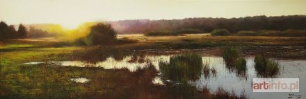 HAMADA Konrad | Sierpniowy wieczór, 2019