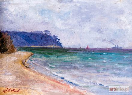 NAŁĘCZ Włodzimierz | PEJZAŻ NADMORSKI