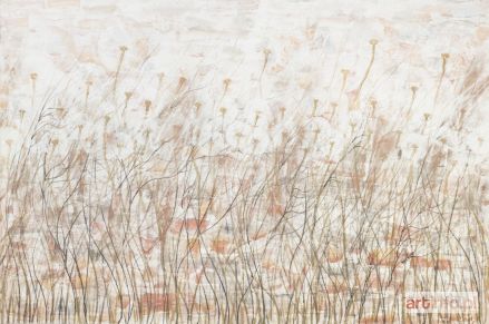 ŚWIGULSKA Mariola | Zmierzwiona łąka z cyklu Zauroczona dmuchawcami, 2017