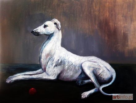 PISKOROWSKI Kacper | Greyhound, 2017