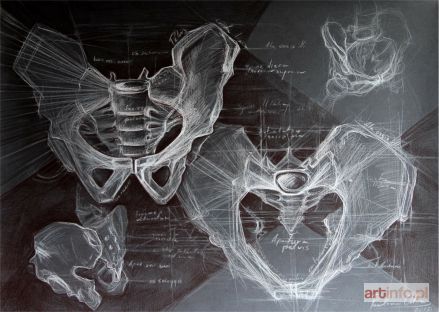 ORTENBURGER Paulina | I love your pelvis, 2015 r.