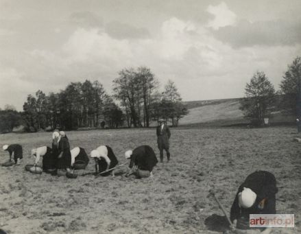 KIETLIŃSKA Maria | Potato-lifting