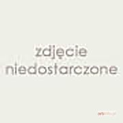 CHUDZIK Tomasz | Nad brzegiem, (Z cyklu Obrazy wody) 1998