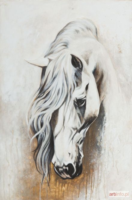 STEFANOWICZ Katarzyna | Andalusian stallon, 2015 r.