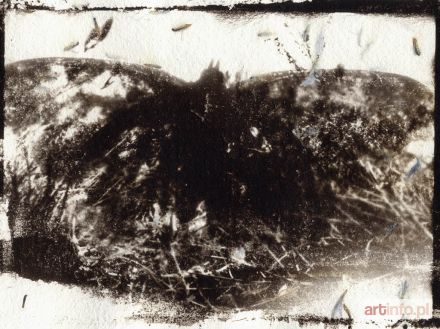 NONIEWICZ Marek | Nr 35 z serii Sommer Album, 2007/08