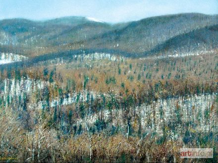 DZIURAWIEC Janusz | Bieszczady - panorama, 1993