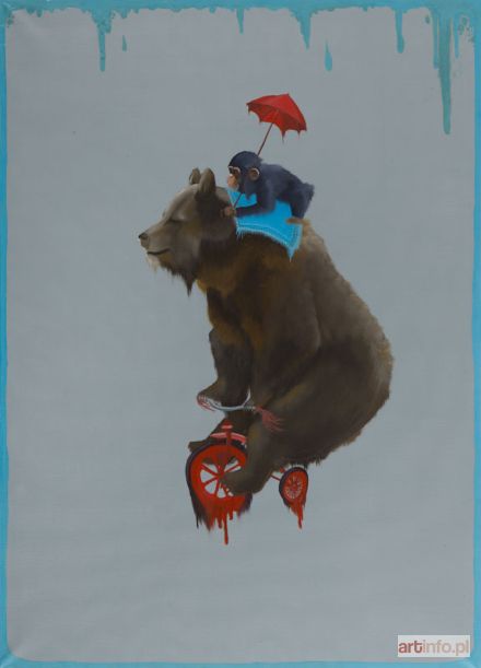 CAMPIO  | Rider, 2016 r.