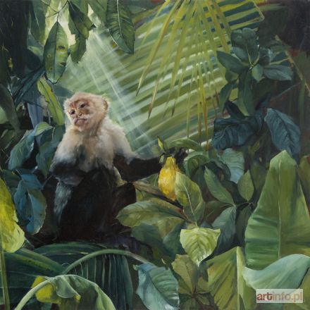 PSZONKA Anna | Monkey in the jungle, 2015 r.