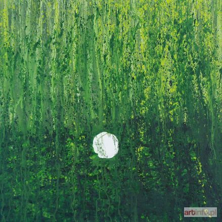 SZWARC Michał | Leśne, 2010