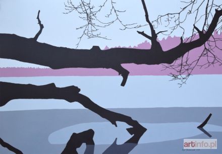 ŚWIERCZEK Agnieszka | Zima, 2017r.