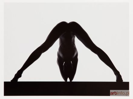 WANTUCH Wacław | Bez tytułu (Akty 23), 2008/2016 r.