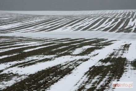 KLUCZYŃSCY Jola i Franciszek | Kresowe pola (2009)