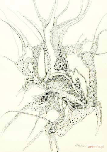 PLEWIŃSKA Bożena | bez tytulu