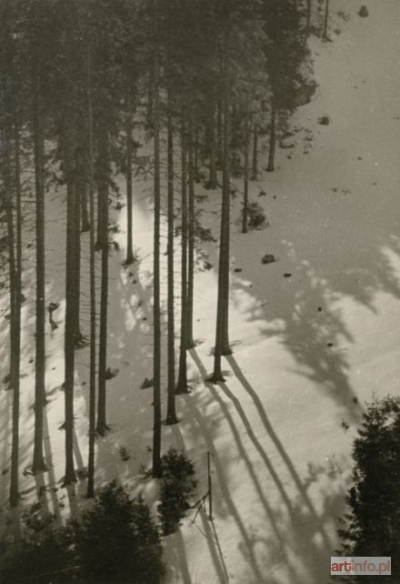 CHOMĘTOWSKA Zofia | Winter (Zakopane)