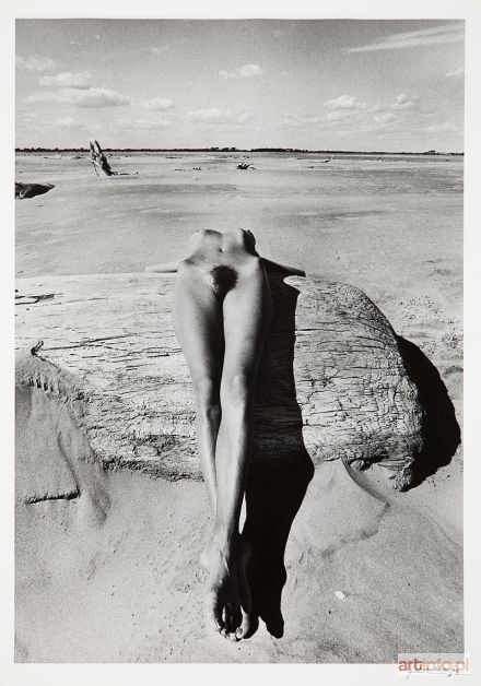 CLERGUE Lucien | Nude