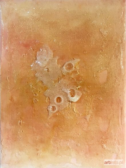 JANUSZ Marcin | sok 0.9, 2017