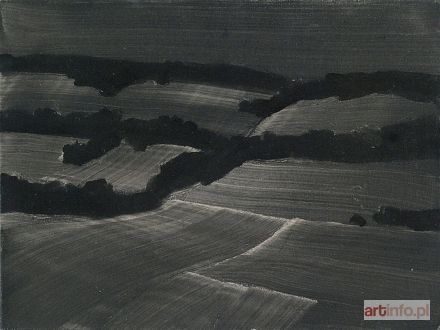 BUJNOWSKI Rafał | Nocny pejzaż, 2005