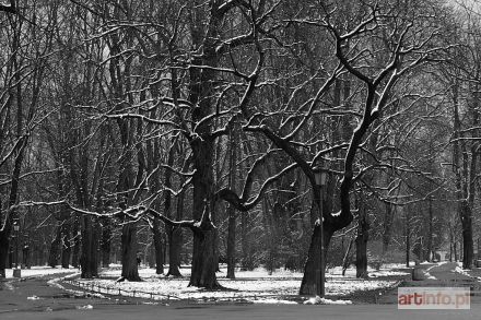 MIELESZKIEWICZ Stanisław Stefan | Park Saski