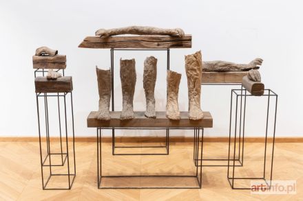 ABAKANOWICZ Magdalena | Anatomia, 2009 r.