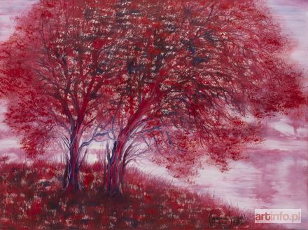 ŚWIGULSKA Mariola | Czerwień́ natury, 2018