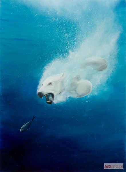 CAMPIO  | Polarne polowanie, 2017 r.