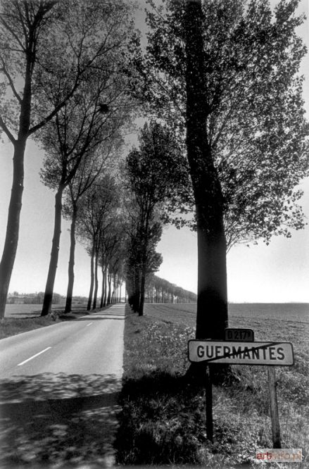 SIEFF Jean Loup | Guermantes, 1986