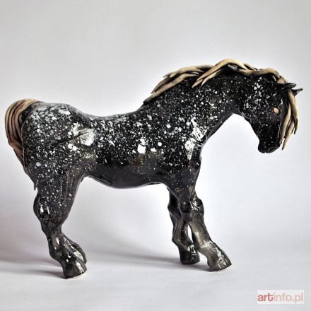 ŚLIWA Aneta | Koń czarny, 2017