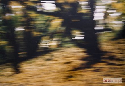 HARTWIG Edward | bez tytułu, lata 80-te XX/1995