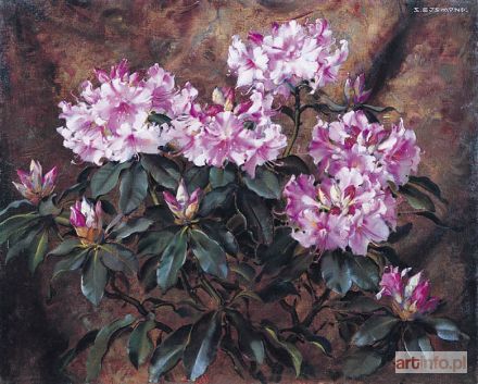 EJSMOND Stanisław | RÓŻOWY RODODENDRON, ok. 192