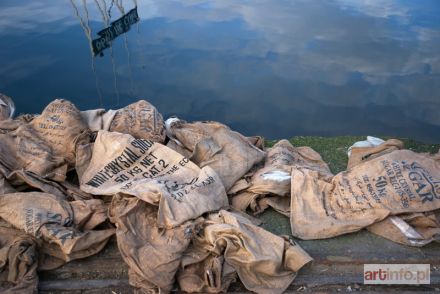 NIEZGODA Jędrzej | Sugar bags, 2010