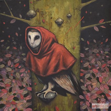 STAŃCZAK Kamil | Barn Owl in Red Hood, 2019