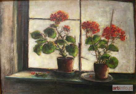 SIBENS Adrian Piotr J. | Pelargonie