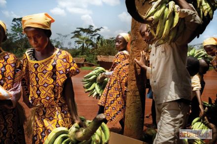 SOKÓŁ Łukasz | Planteny, Kamerun 2009