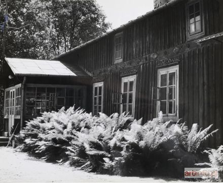 KOSTRZEWA Jerzy | Kuklówka Ojcówek (Chełmoński)