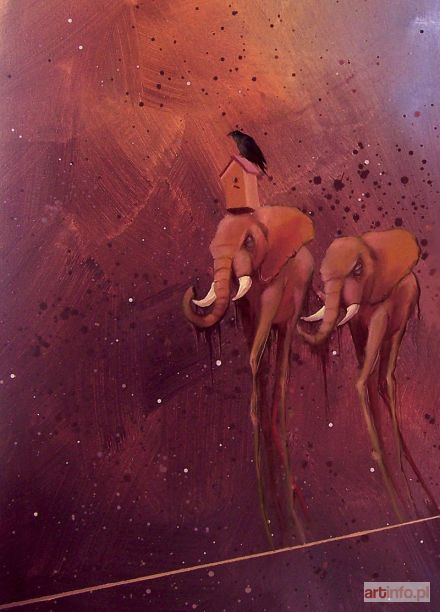 CAMPIO  | Powrót słoni Salvadora, 2015