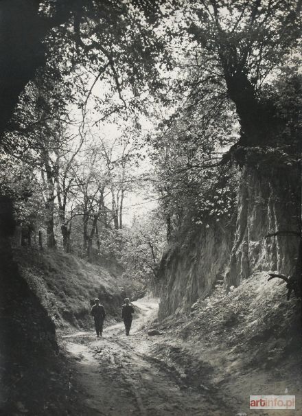 CHRZĄSZCZOWA Maria | Sandomierz. St. Jacob Gorge