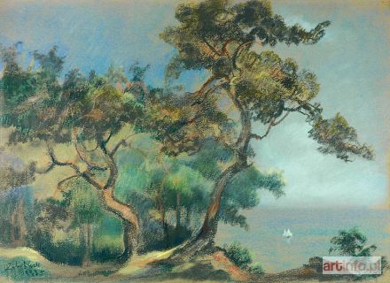 ŻABOKLICKI Wacław | Sosny nad urwiskiem w Jastrzębiej Górze