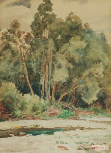 ŻURAWSKI Stanisław | Na skraju lasu