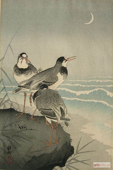 KOSON Ohara | Trzy siewki nad brzegiem morza