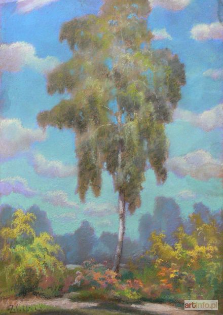 ŻABOKLICKI Wacław | Samotna brzoza