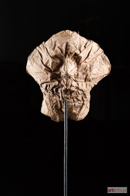ABAKANOWICZ Magdalena | Portret anonimowy, 2001