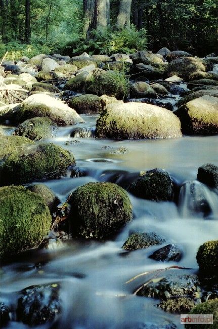 STEFAŃSKI Piotr | Nad Grabią (2002)