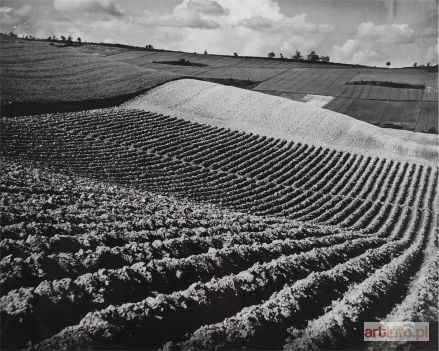 JAKUBIK Tadeusz | Krajobraz spod Radostowej, ok.1960