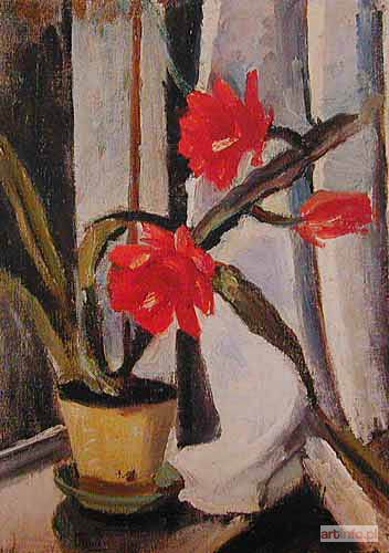 NIESIOŁOWSKI Tymon | MARTWA NATURA Z KWITNĄCYM KAKTUSEM, przed 1939 r.