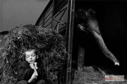 WIETESKA Wojtek | Katowice, 2003