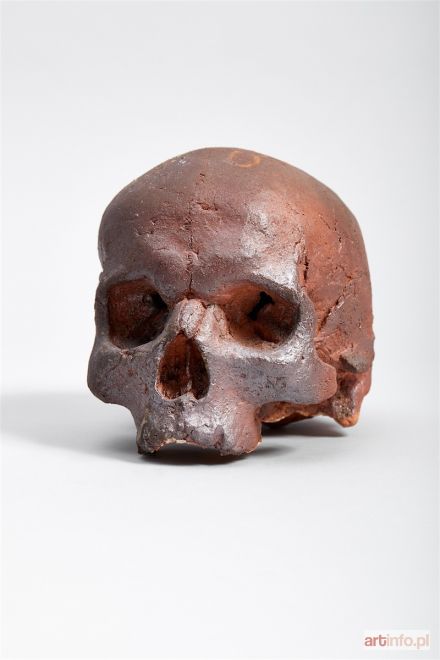 BIEWALD Jakub | Czaszka/ Skull