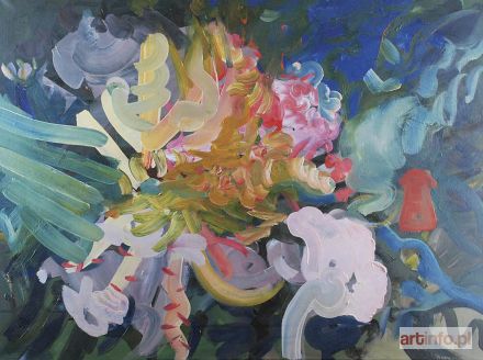 SZMUC Karolina | Sukienka (z cyklu Las) 2010