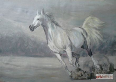 SOKOŁOWSKA Małgorzata | Galop, 2015 r.