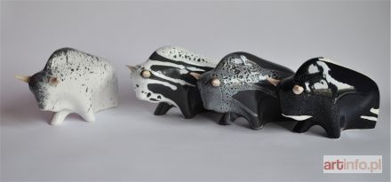 ŚLIWA Aneta | Żubry, 2017